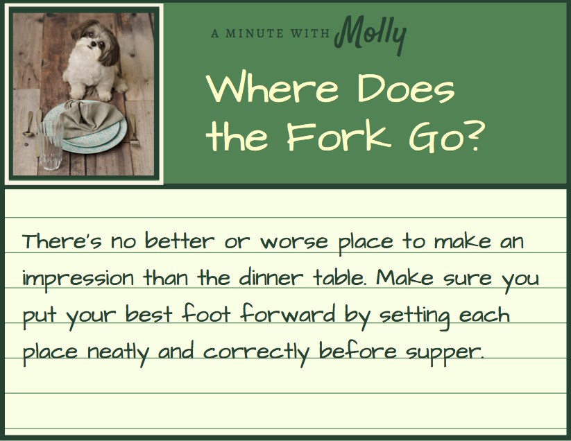 Minute With Molly #31: Where Does the Fork Go?