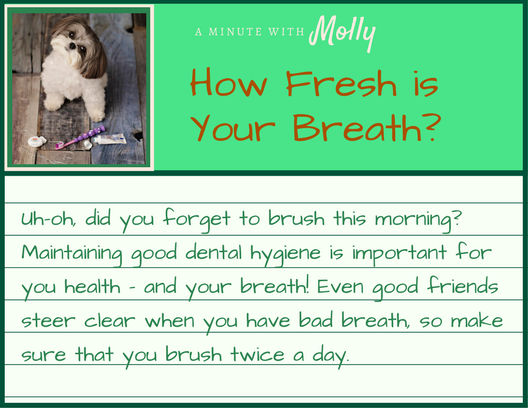 Minute With Molly #28: How Fresh Is Your Breath?